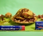 
Dubai Chocolate Turkey

