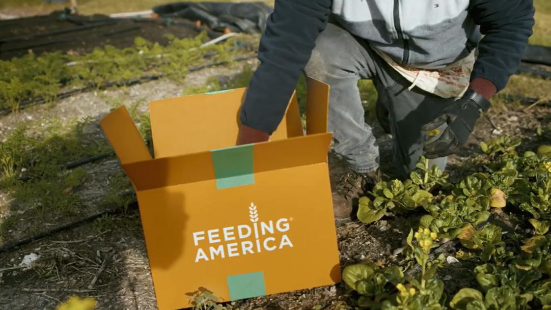 farmer placing food into a Feeding America box in a field