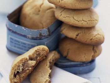 Peanut Butter-Chocolate Cookies