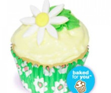 Sugar Daisy Cupcakes